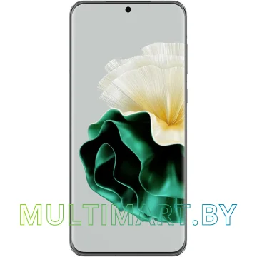 Смартфон Huawei P60 LNA-LX9 8GB/256GB (зеленый) картинка 2